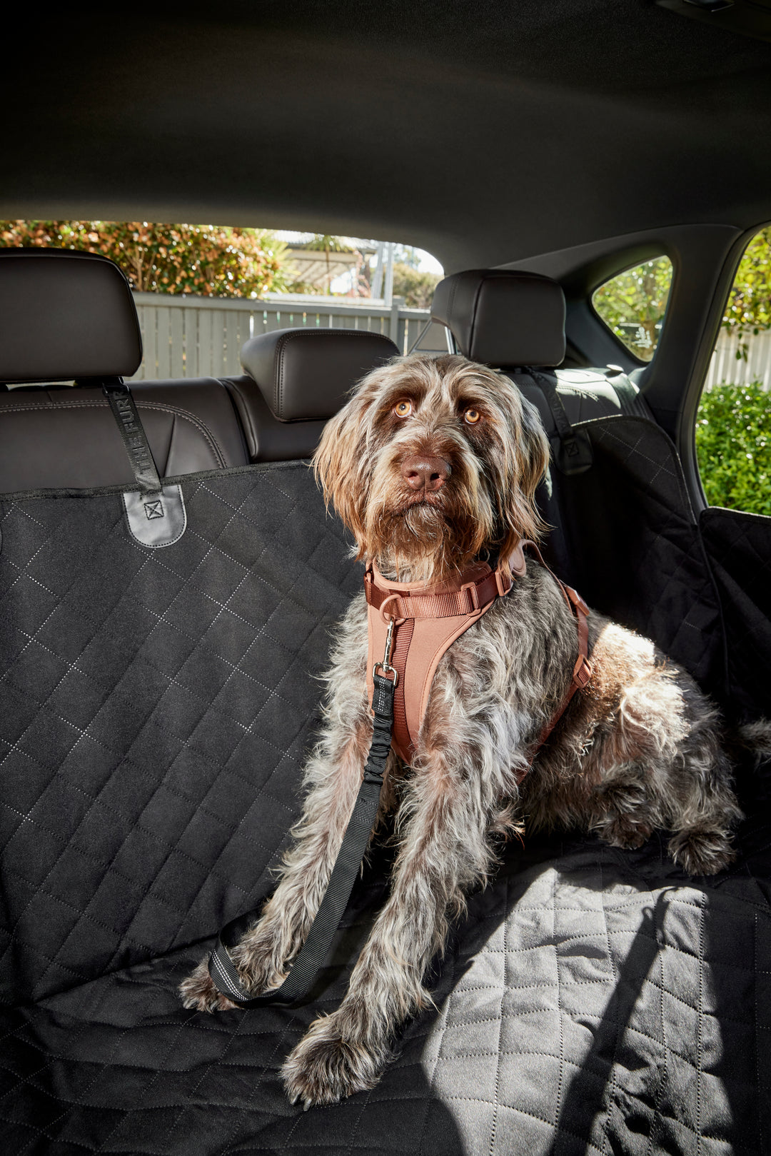 Ultimate 3-in-1 Dog Car Seat Cover