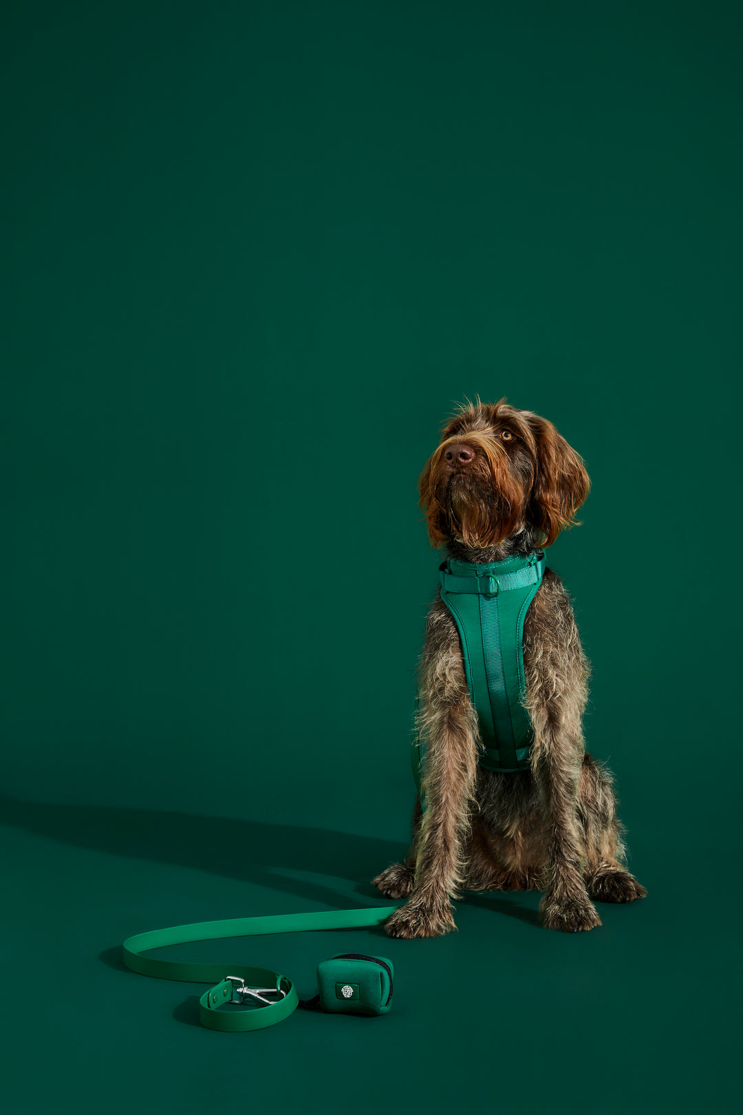 forest green dog harness#color_forest-green