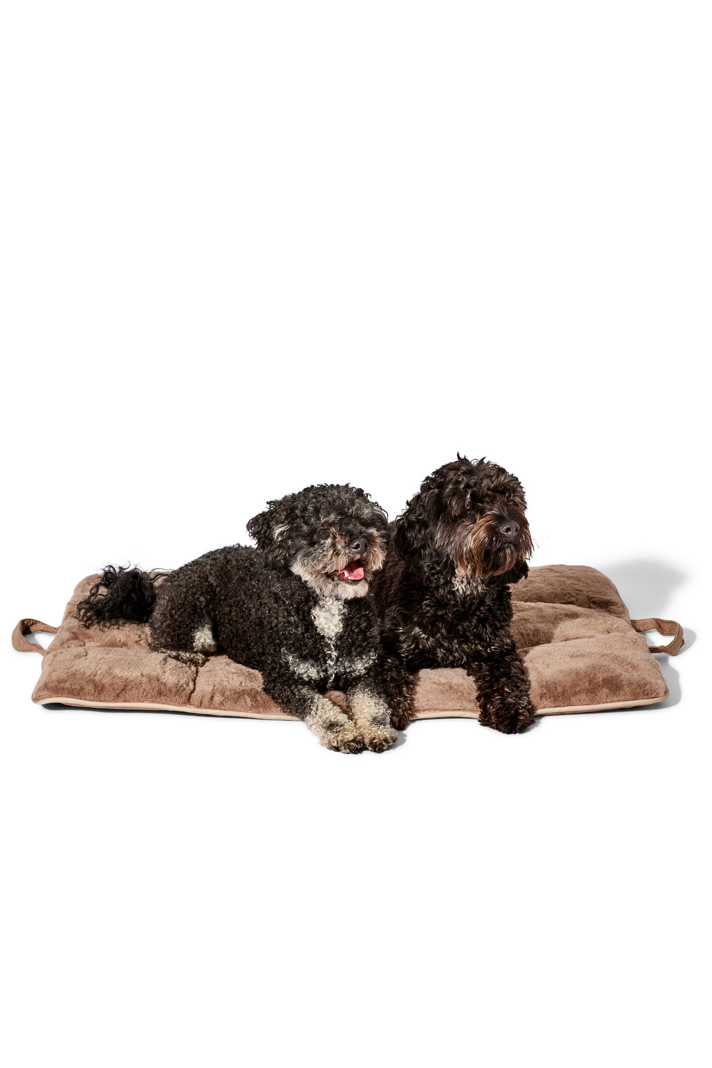 dog travel bed latte#color_latte