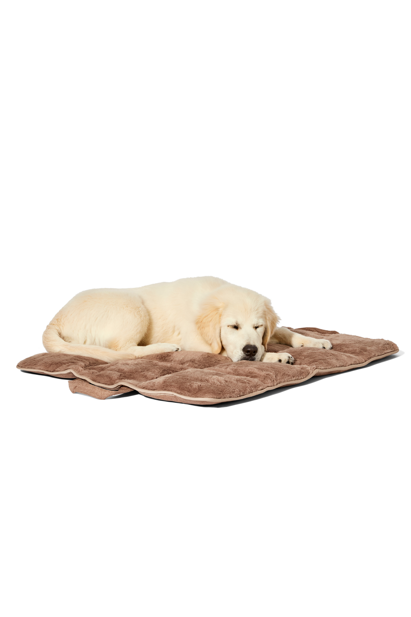 dog travel bed latte#color_latte