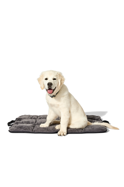 dog travel bed charcoal#color_charcoal
