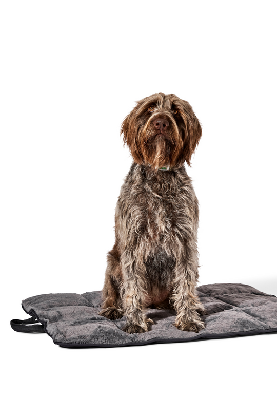 dog travel bed charcoal#color_charcoal