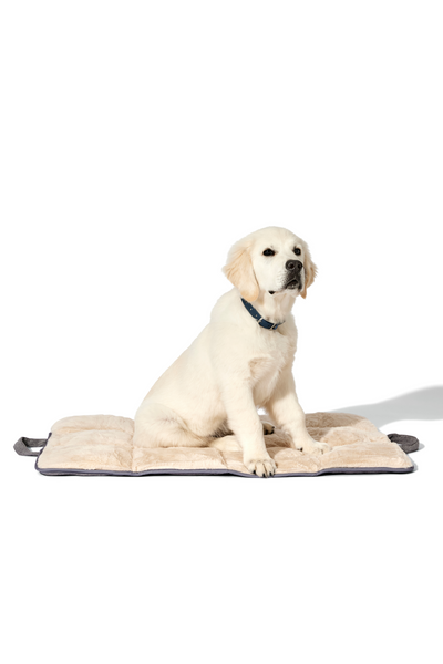 dog travel bed light grey#color_light-grey