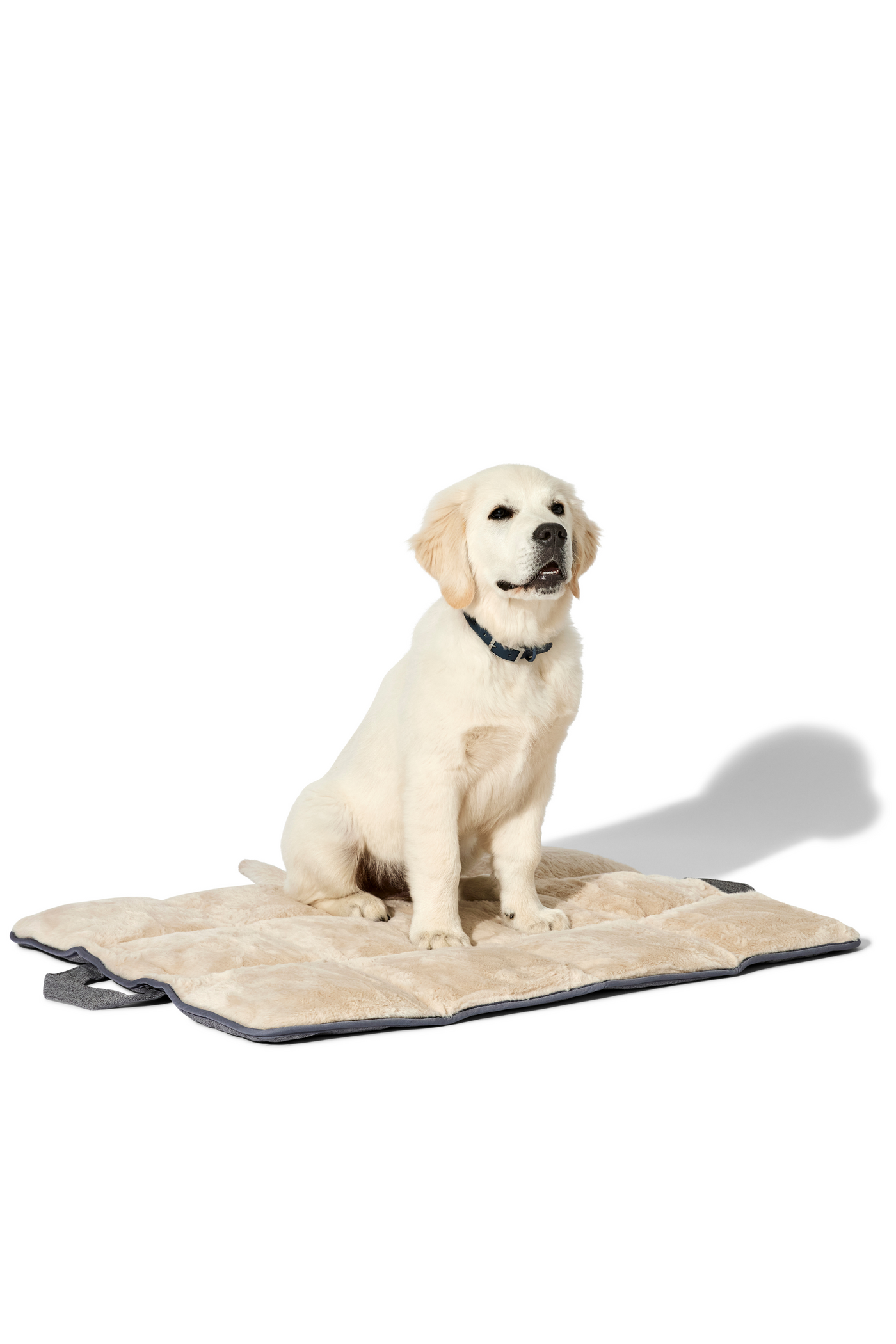 dog travel bed light grey#color_light-grey