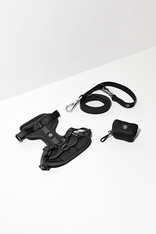 black dog harness walk kit#color_black