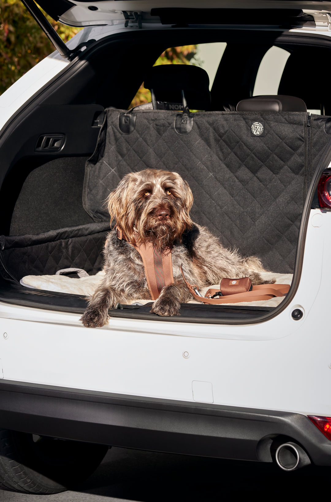 Ultimate 3-in-1 Dog Car Seat Cover