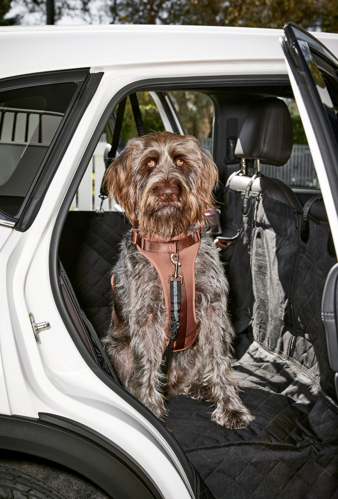Ultimate 3-in-1 Dog Car Seat Cover