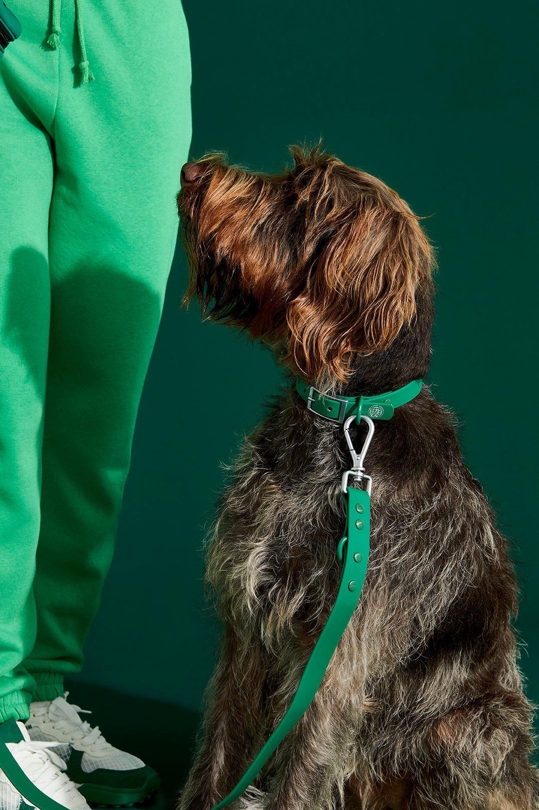 Waterproof Collar The Furry Nomad