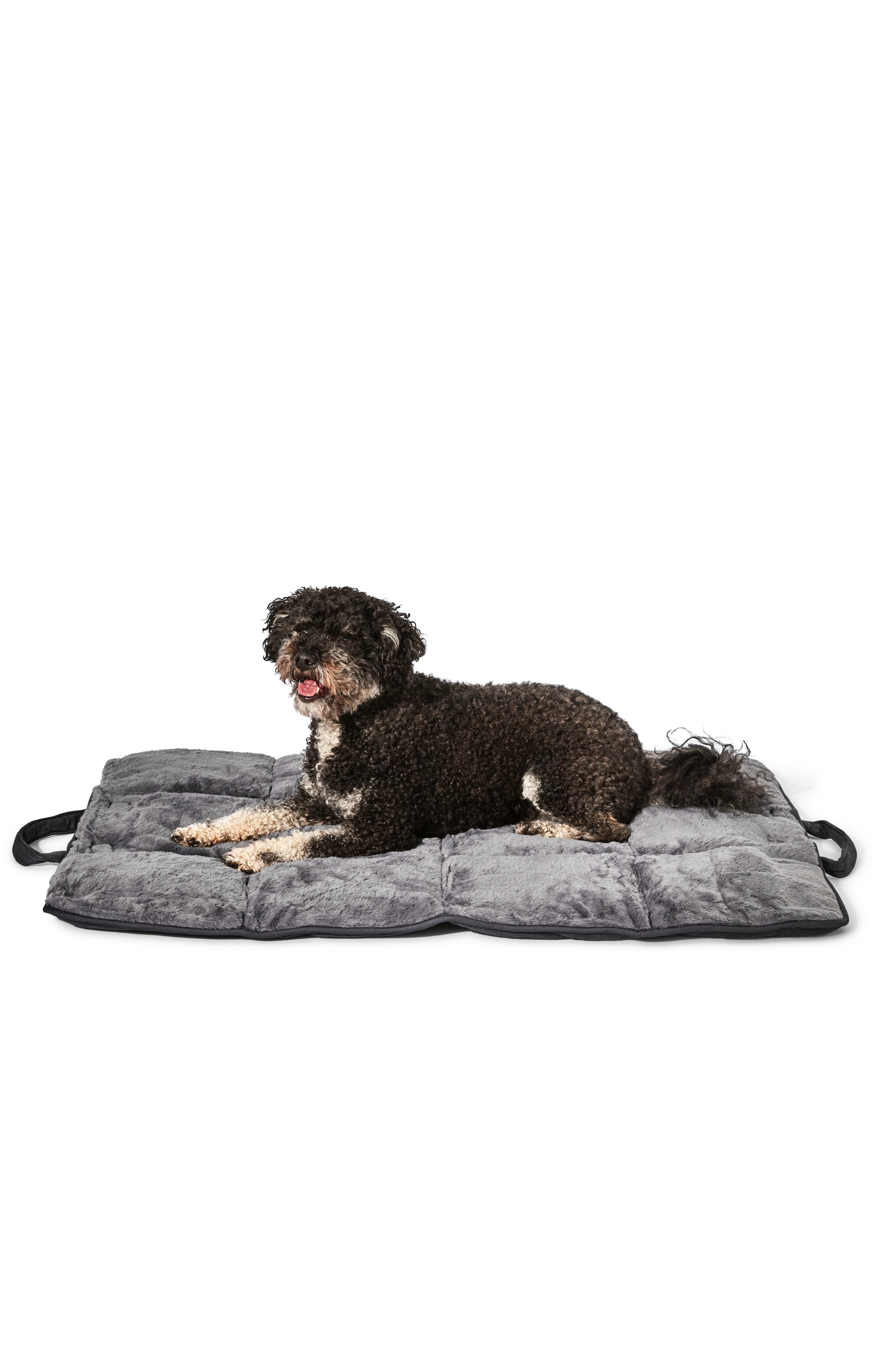 dog travel bed charcoal#color_charcoal