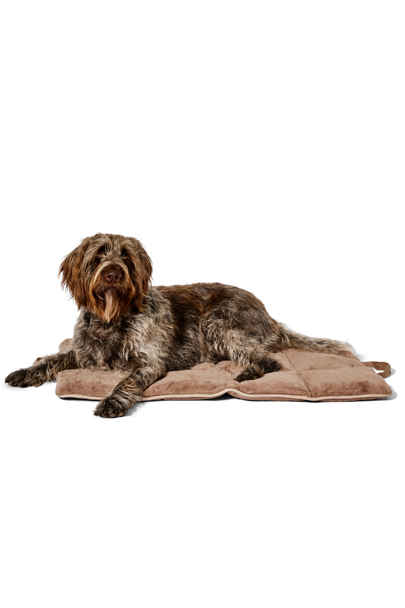 dog travel bed latte#color_latte
