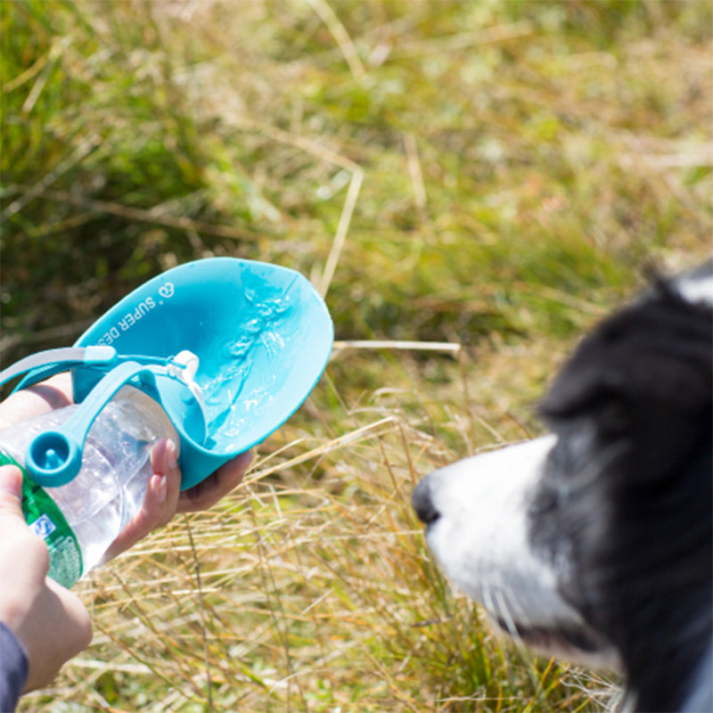Super Design Portable Pet Water Bottle | The Furry Nomad