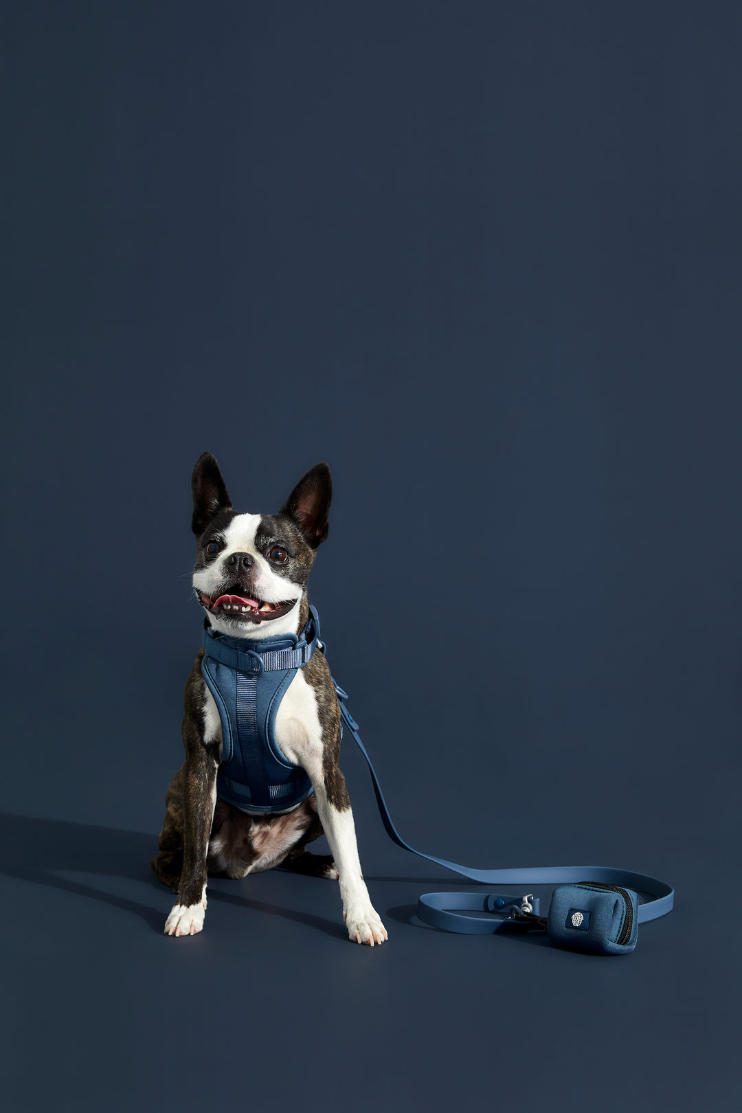 navy dog harness#color_navy