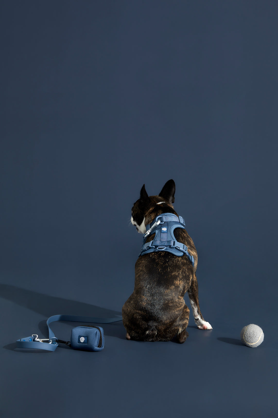 navy dog harness walk kit#color_navy