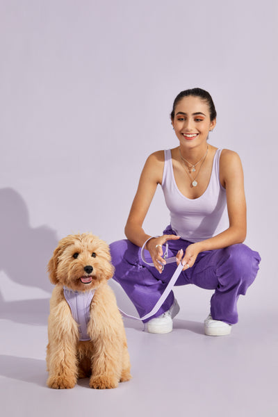 lavender dog harness#color_lavender