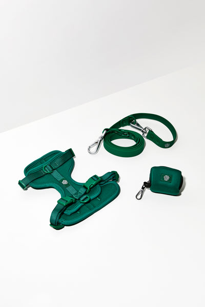forest green dog harness walk kit#color_forest-green