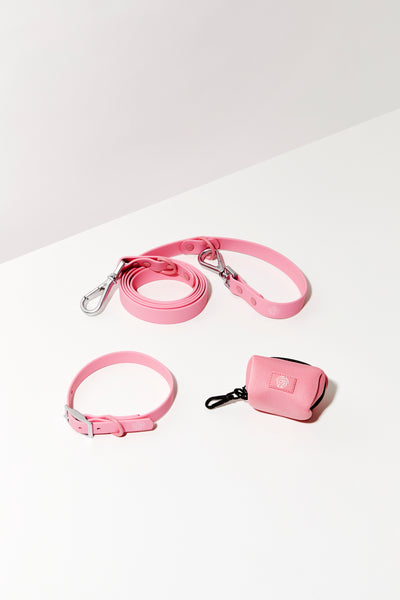 Bubblegum Pink Collar and Leash Walk Kit