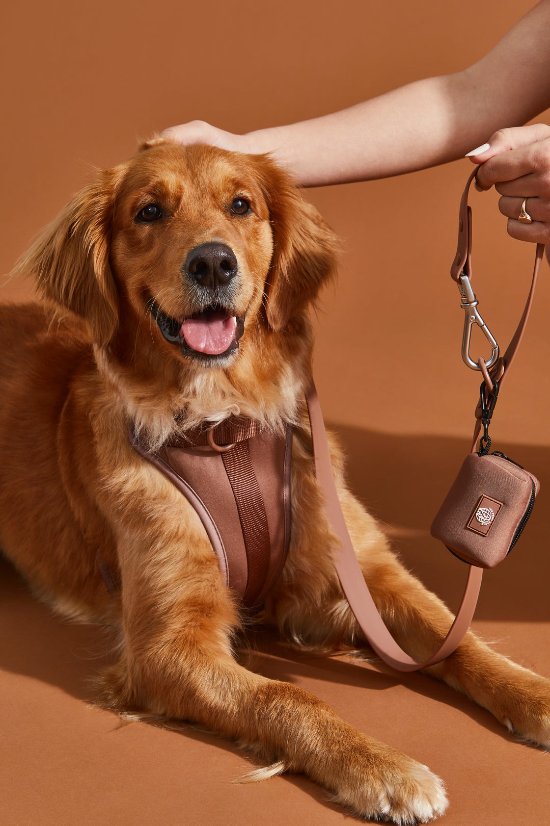 chocolate brown dog harness walk kit#color_chocolate-brown