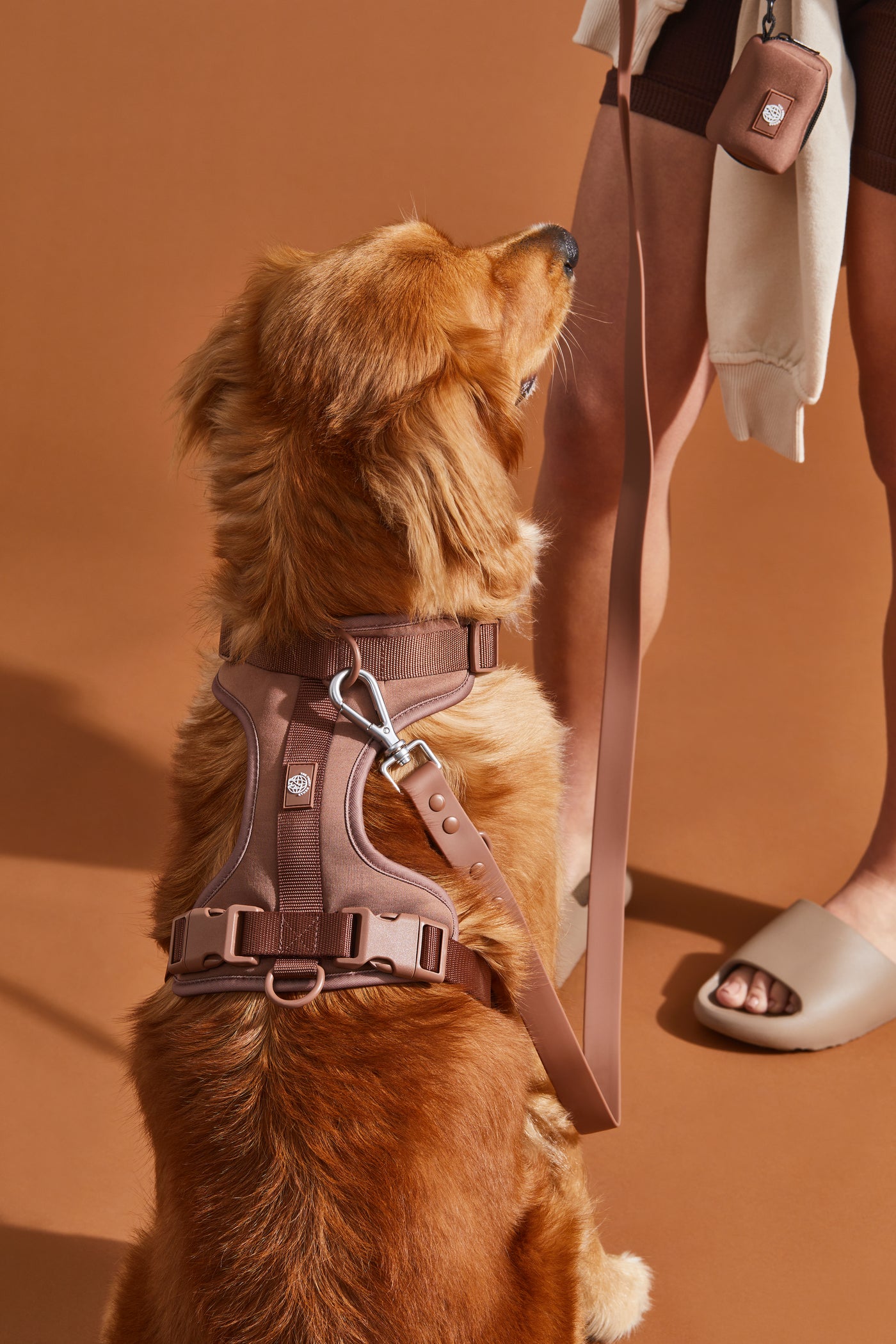 chocolate brown dog harness walk kit#color_chocolate-brown
