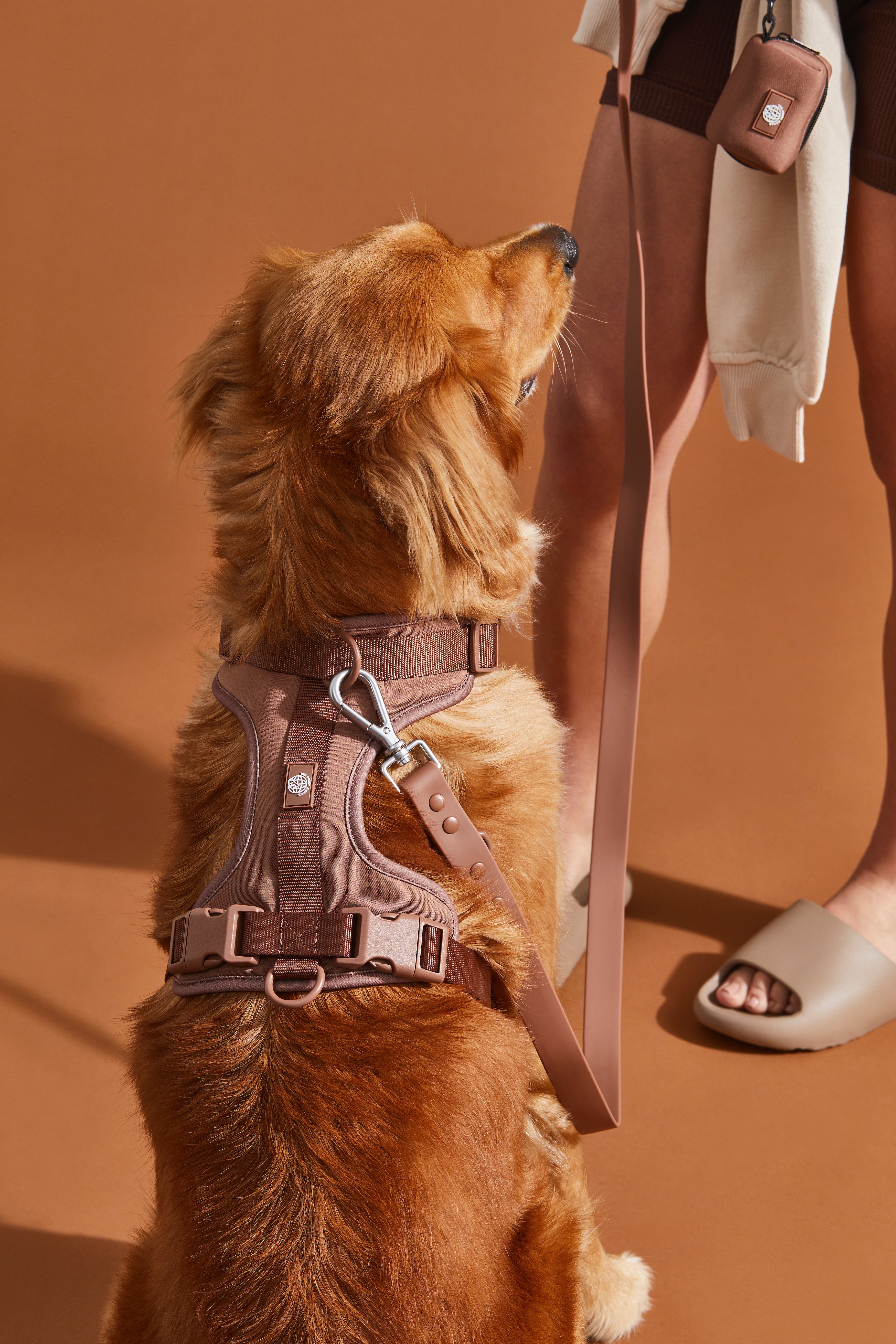 The furry collar store