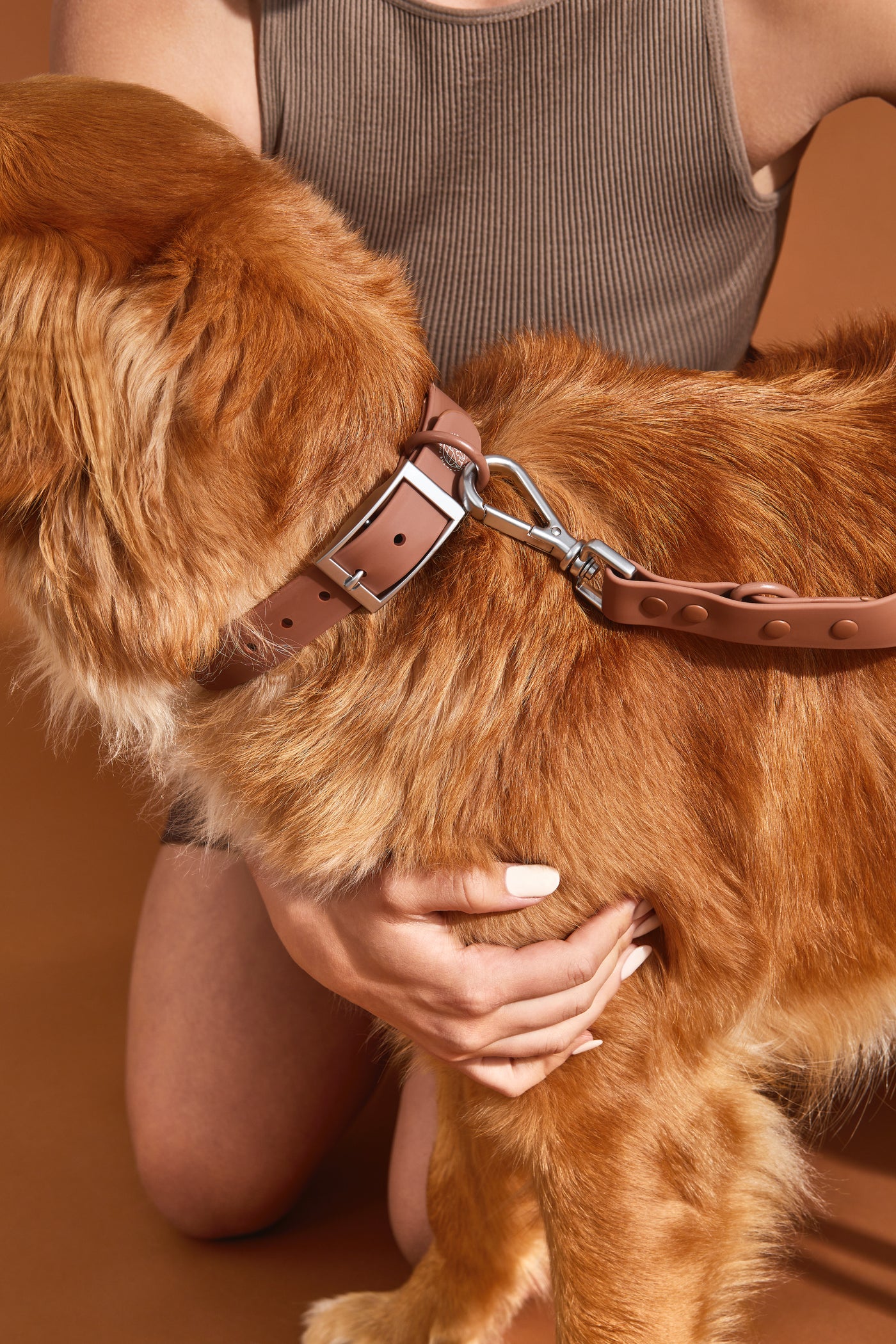 chocolate brown dog collar walk kit#color_chocolate-brown
