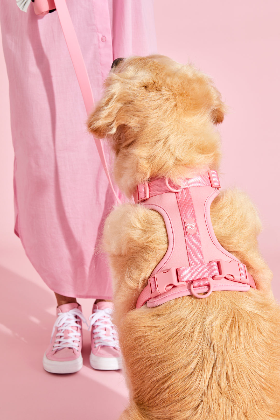 bubblegum pink dog harness#color_bubblegum-pink