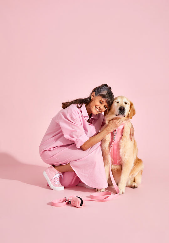 bubblegum pink dog harness walk kit#color_bubblegum-pink