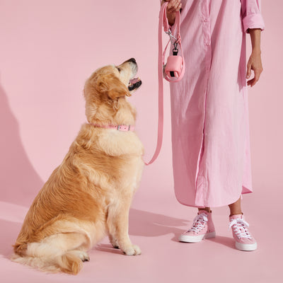 bubblegum pink dog collar#color_bubblegum-pink