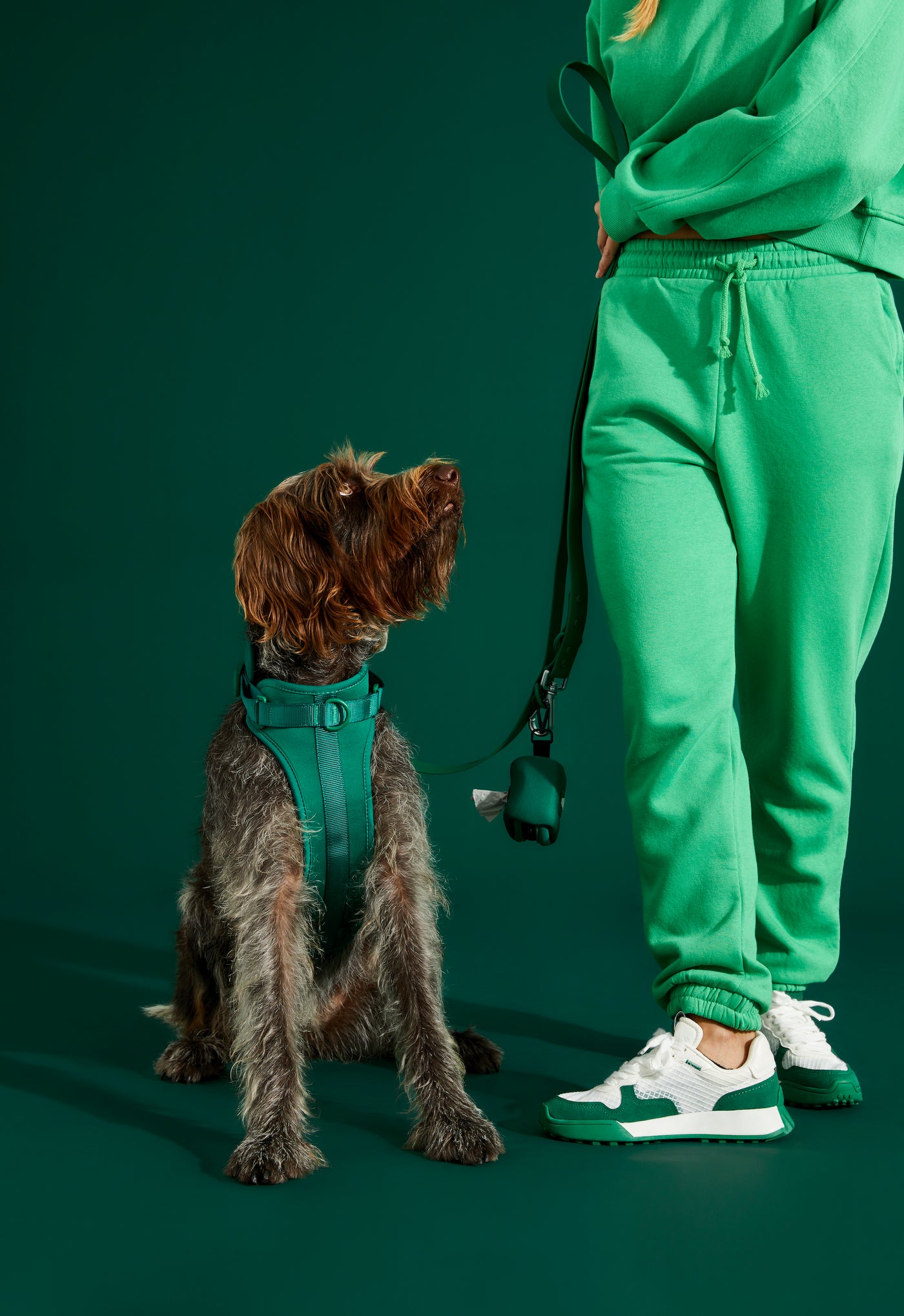 forest green dog harness#color_forest-green