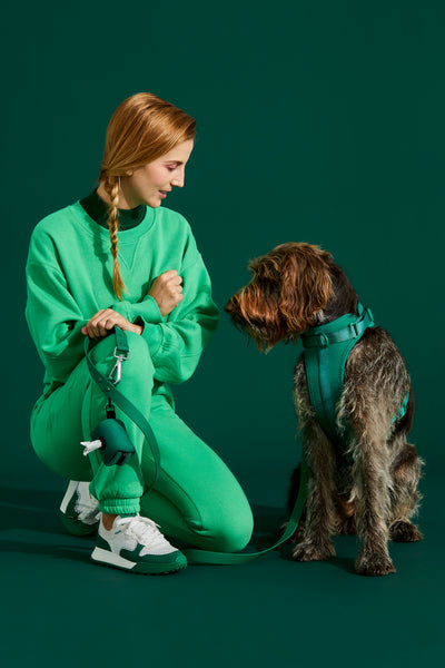 forest green poop bag holder#color_forest-green