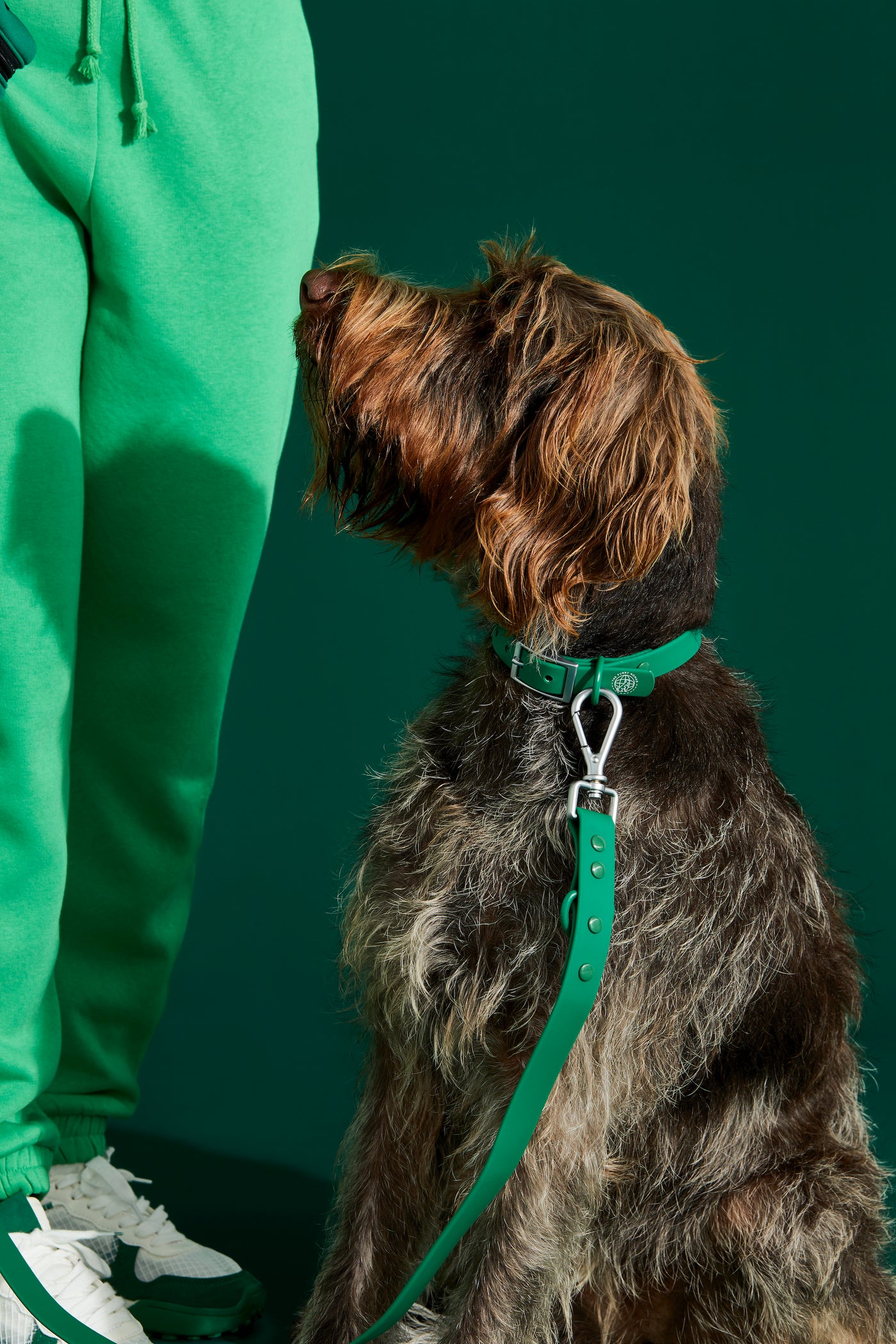 forest green dog collar#color_forest-green