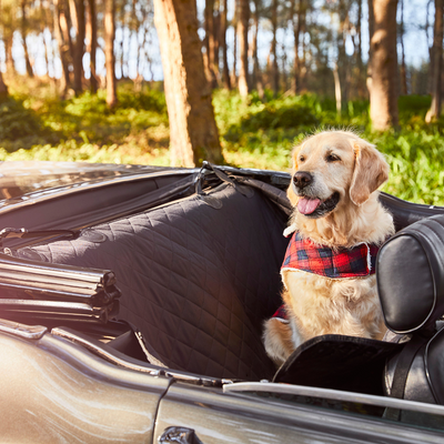 black car seat cover #color_black