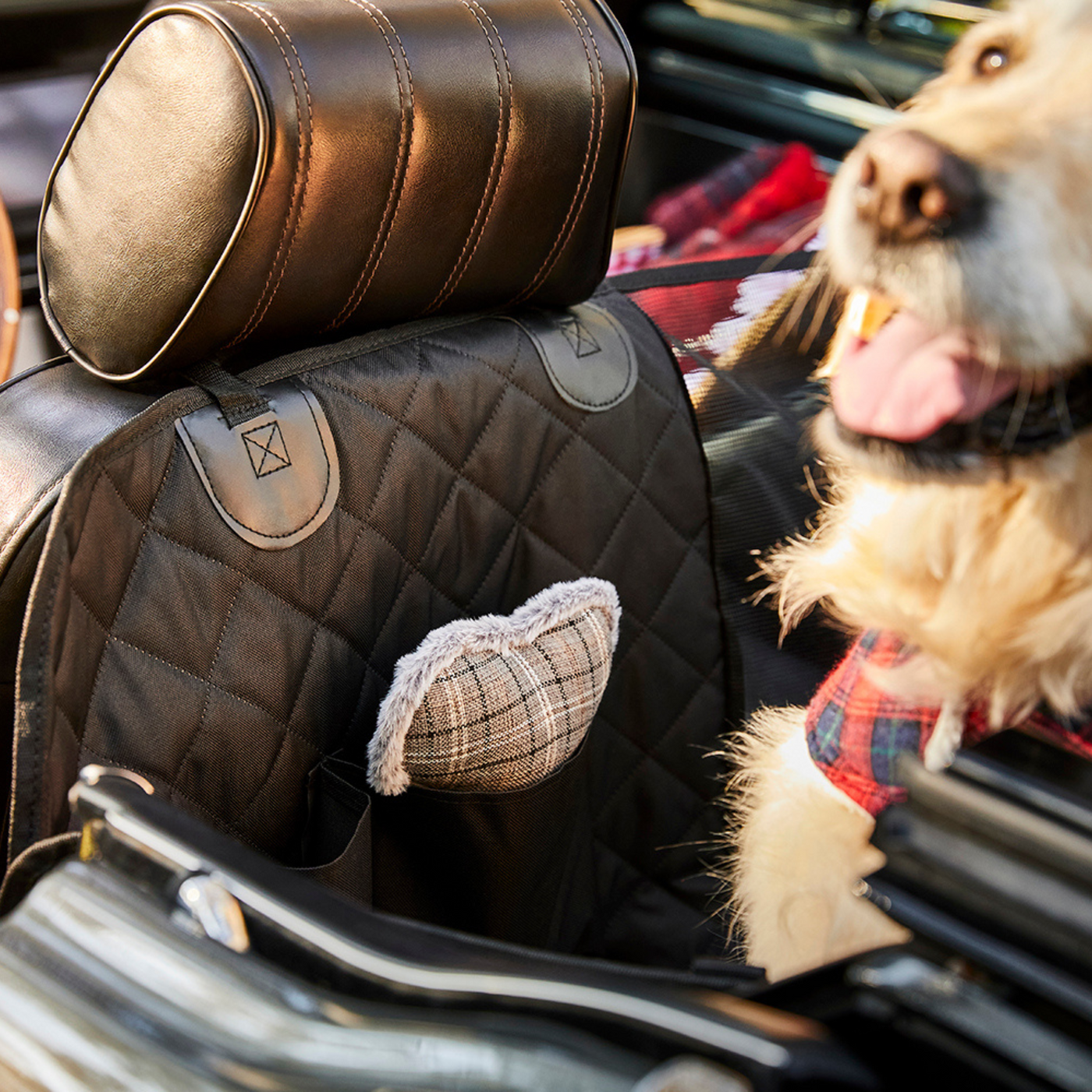 Dog Back Seat Car Cover